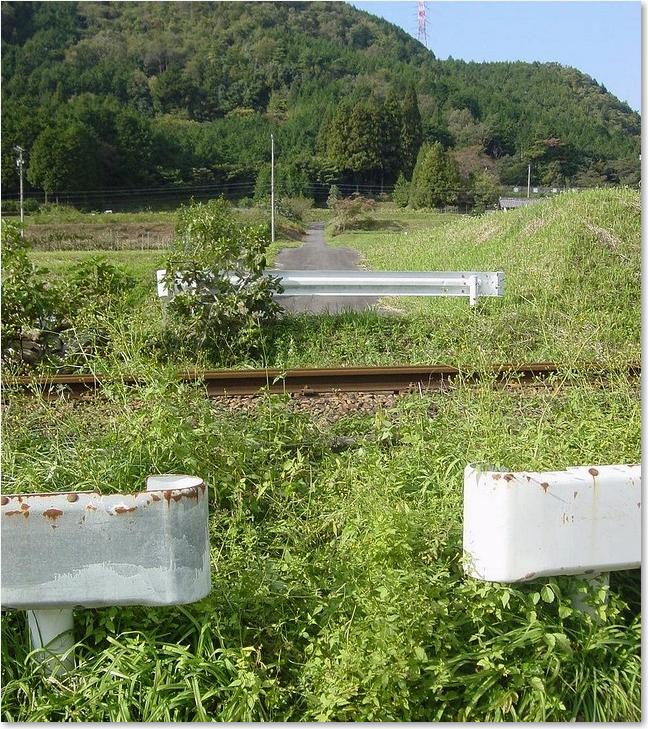 11渡っちゃ駄目よ