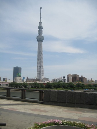 皐月め組総見の日 196.JPG