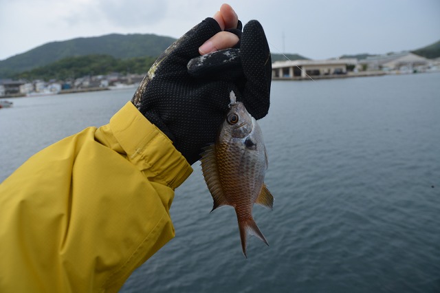 showPhoto (640×426)