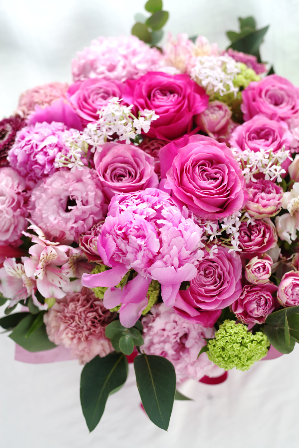 pink11000-111.jpg