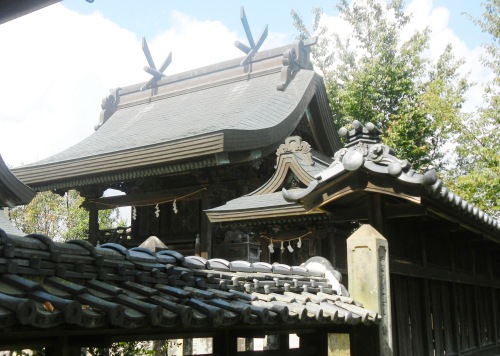 009稚桜神社.JPG