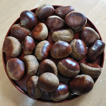 栗どっさり2021.jpg