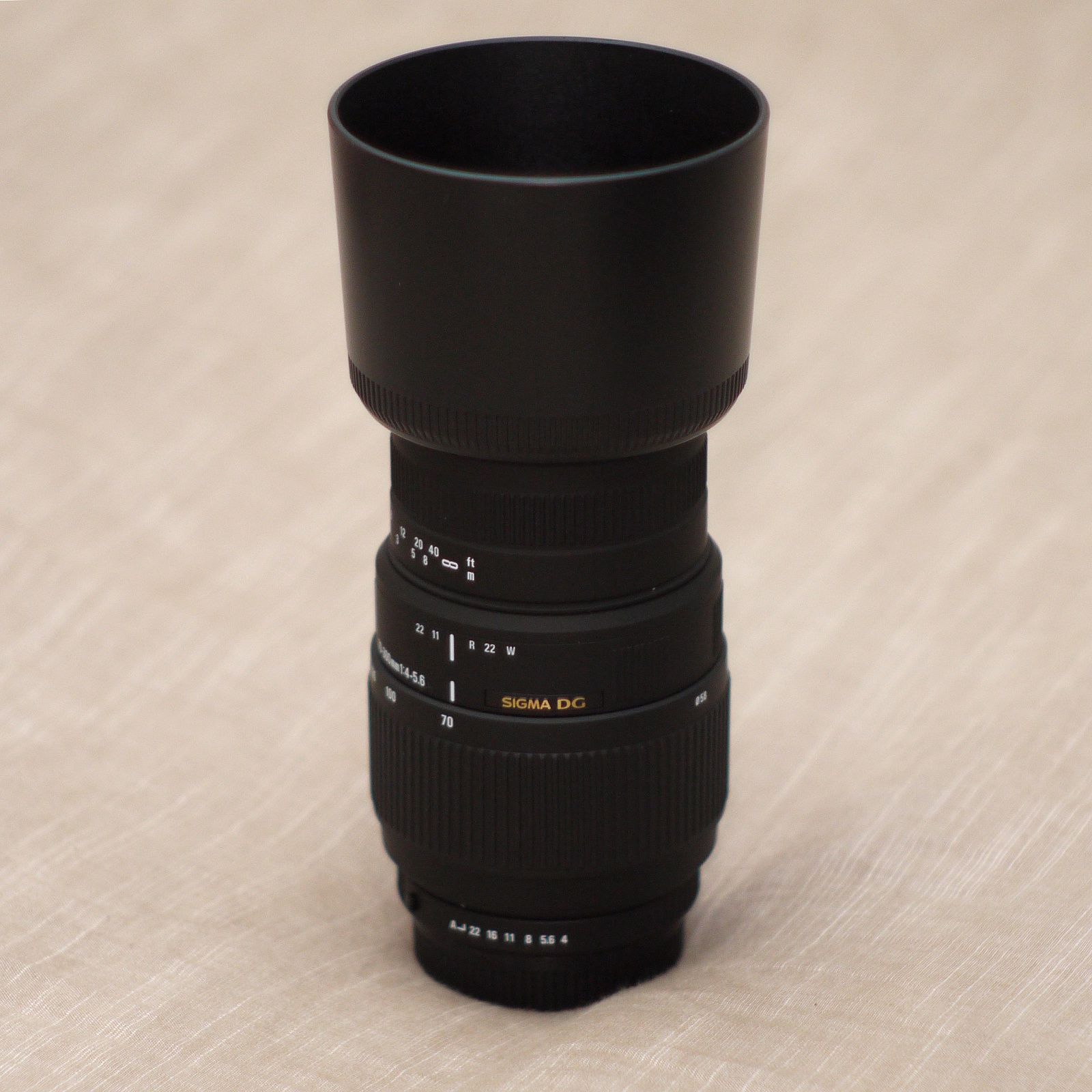 P1010565_compressed.jpg
