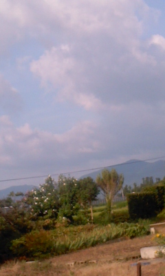 PA0_0437.JPG