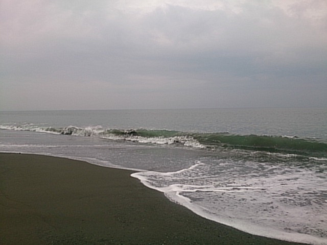 20150618  DSC_0005.jpg