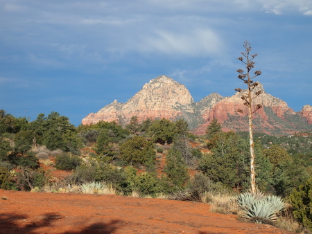 P3042195.JPG