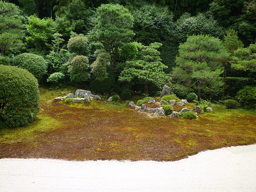 P1020464.jpg