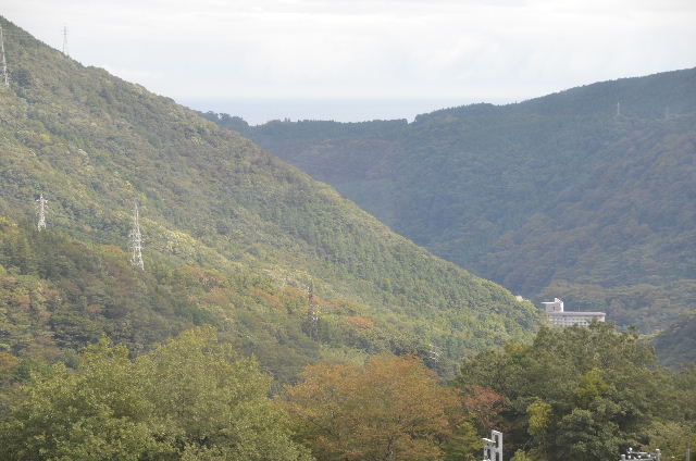 DSC_0734.JPG