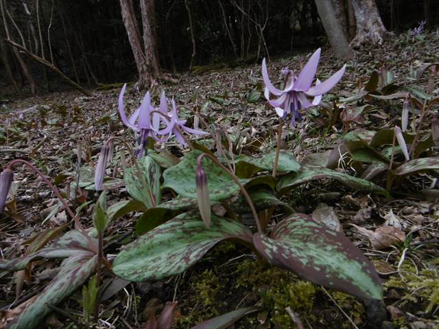 P1320464.JPG