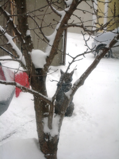 ライト　2008.3.1 その１.JPG