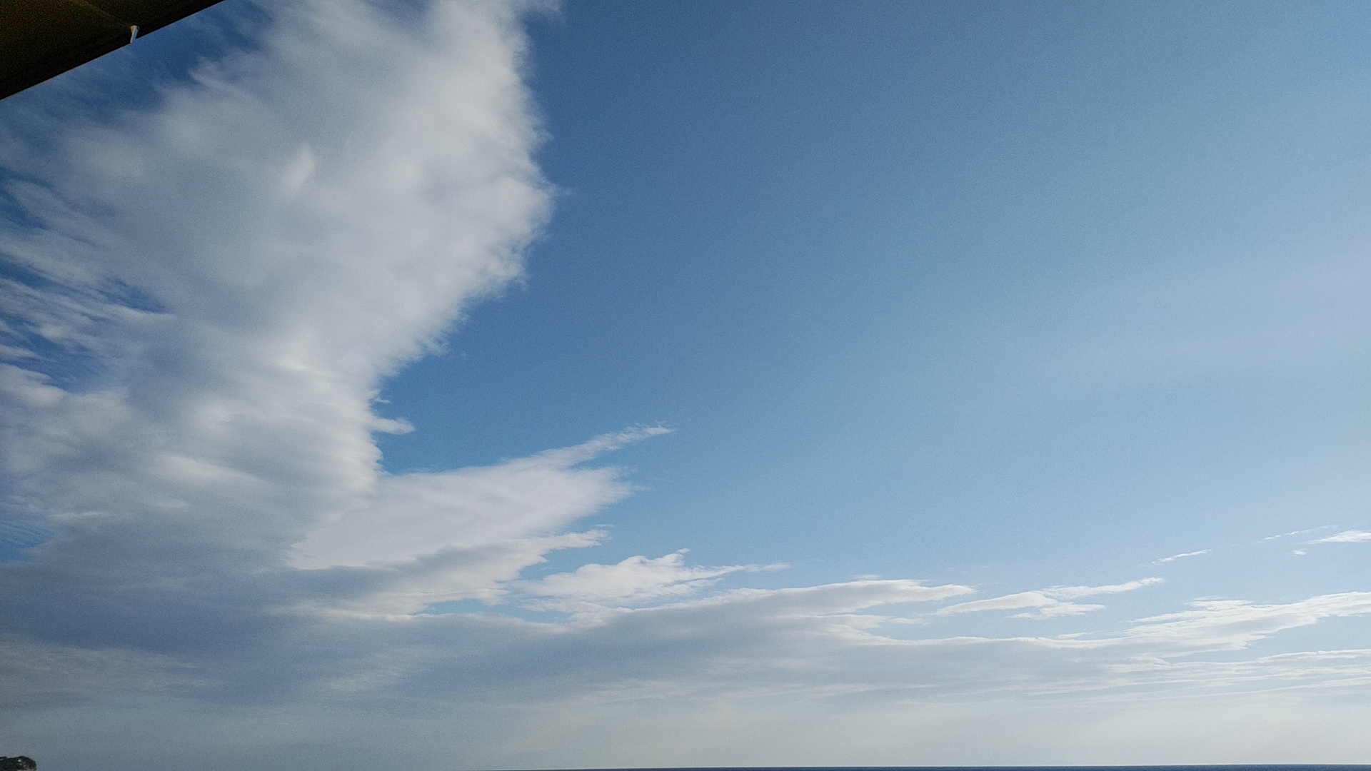 20190203  DSC_0003.jpg.jpg