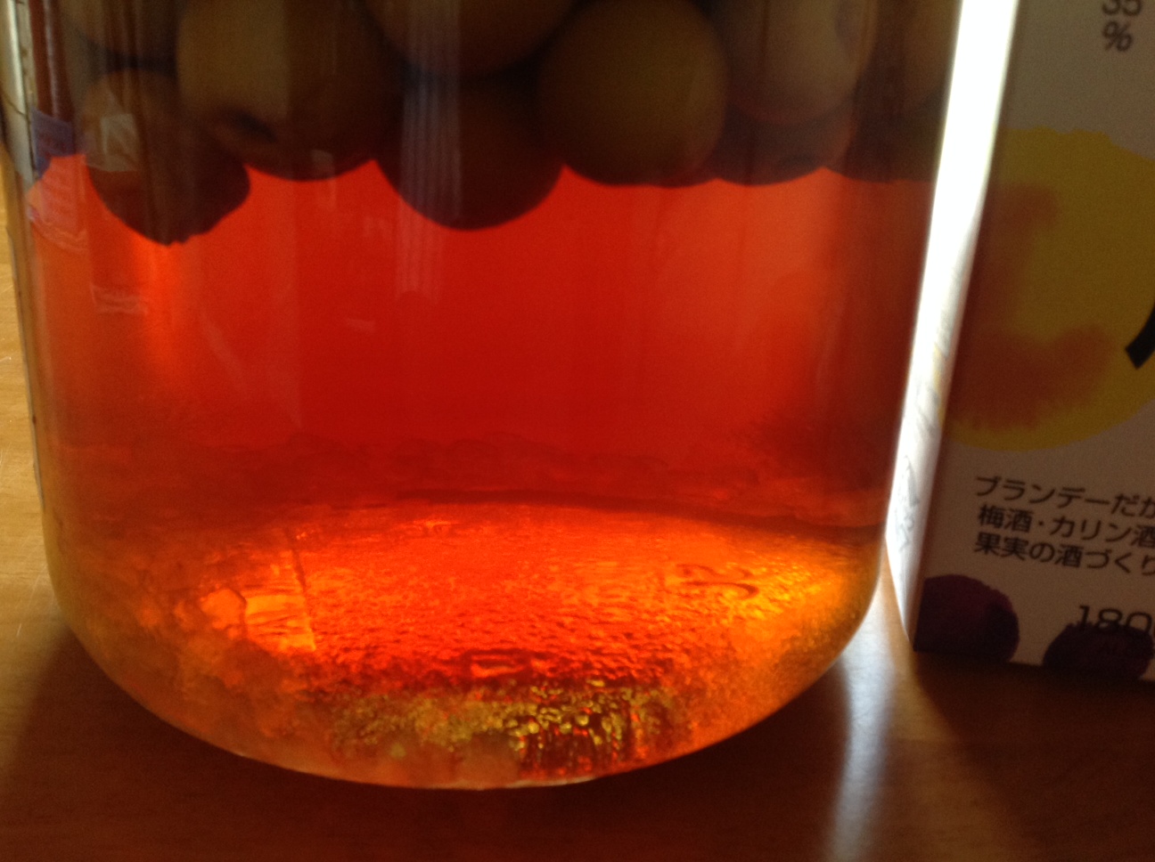 透過光で　ブランデー梅酒.jpg