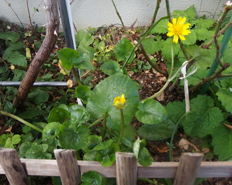 P1160031.JPG