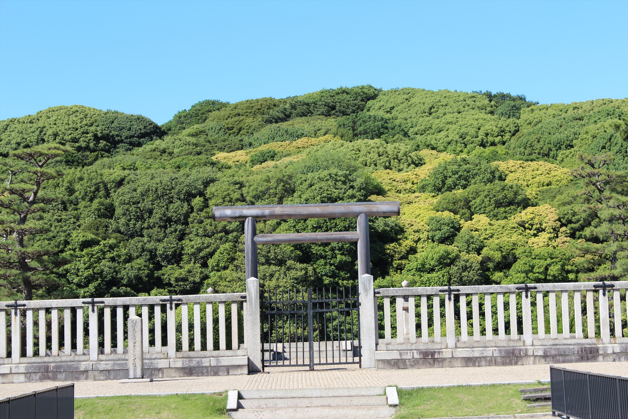 IMG_5364_R.JPG