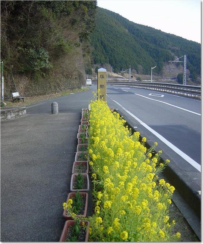 21菜の花駅名.JPG
