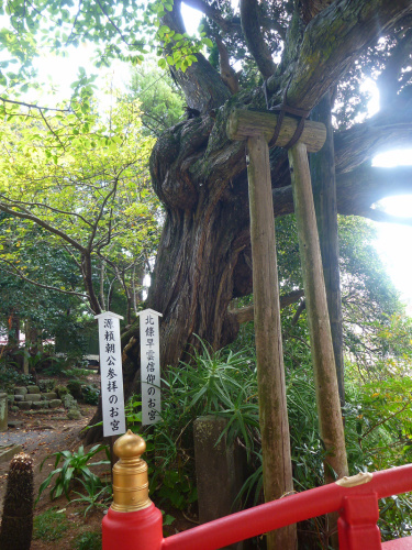 20141020 11165001.jpg