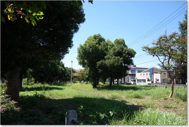 30公園に入ってしまいました
