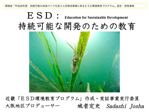 ESD.jpg