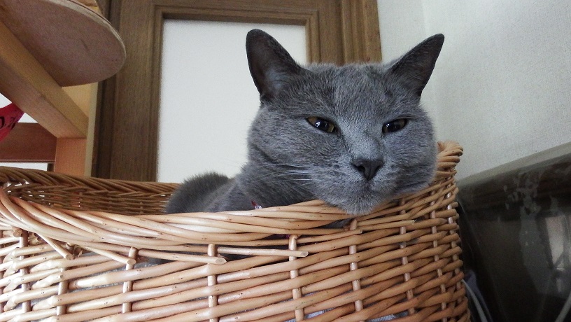 DSCF9088.JPG