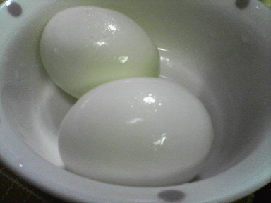 玉子22090303