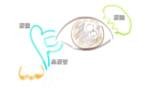 鼻涙管.jpg