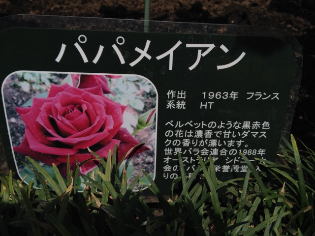 IMG_9044 (640x480).jpg