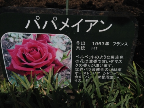 IMG_9044 (640x480).jpg