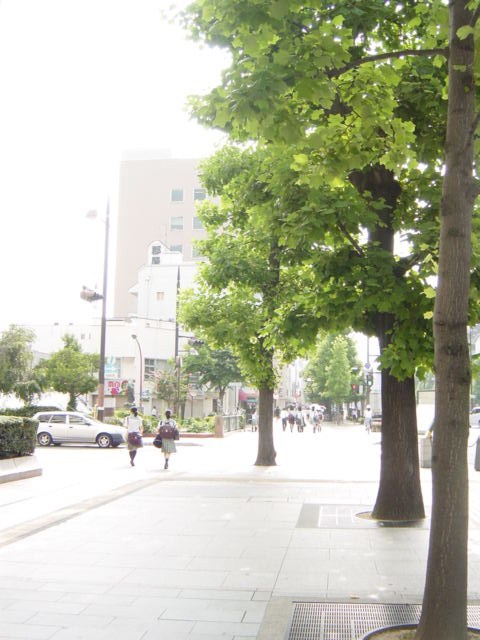 DSC09200.JPG