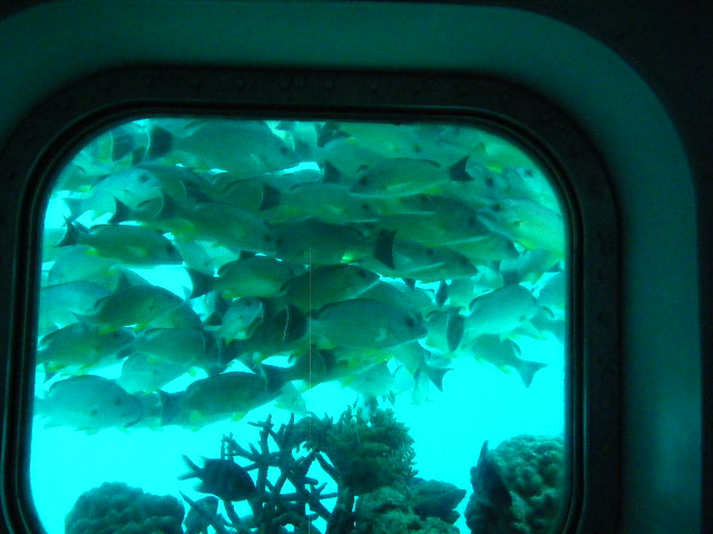 グアム旅行 フィッシュアイマリンパーク (15).JPG