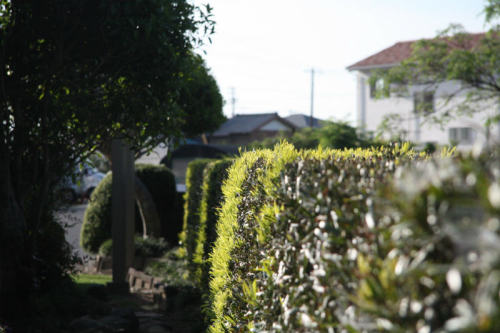 DPP_20150503_0001_1 (2).jpg