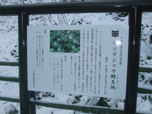 006.jpg北限7134.jpg