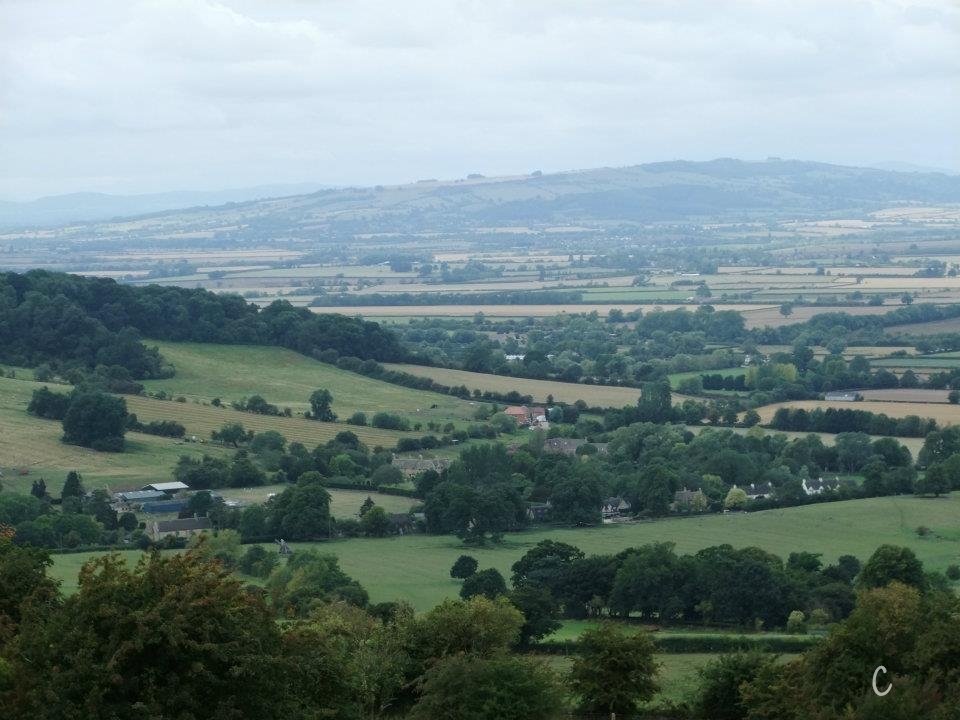 320374_10150291841372821_2021516790_n[1] (2).jpg