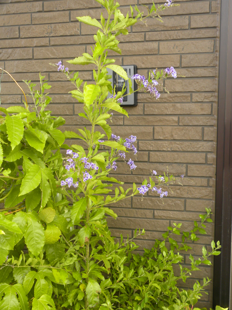 DSCN9462.JPG