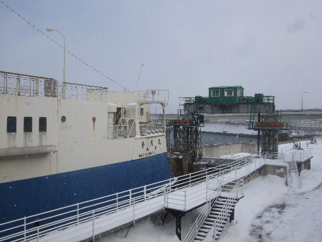 DSCF5955.JPG