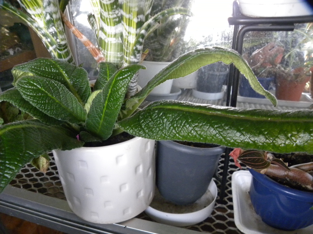DSCN5487.JPG