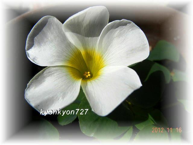 DSCN9790.jpg