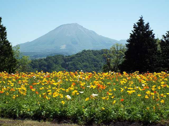 大山.jpg