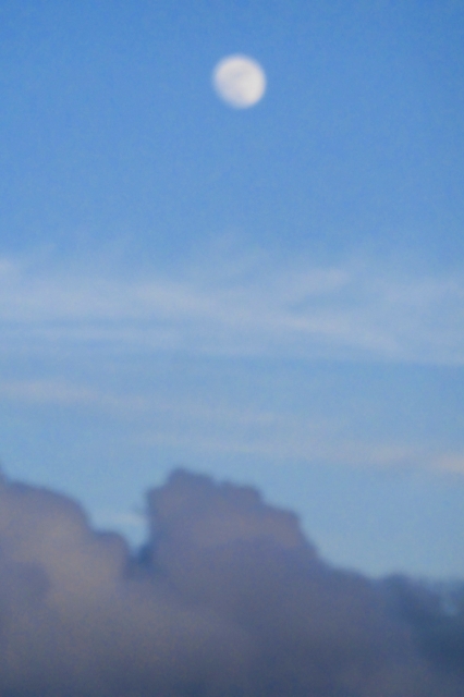 0220 white moon.jpg