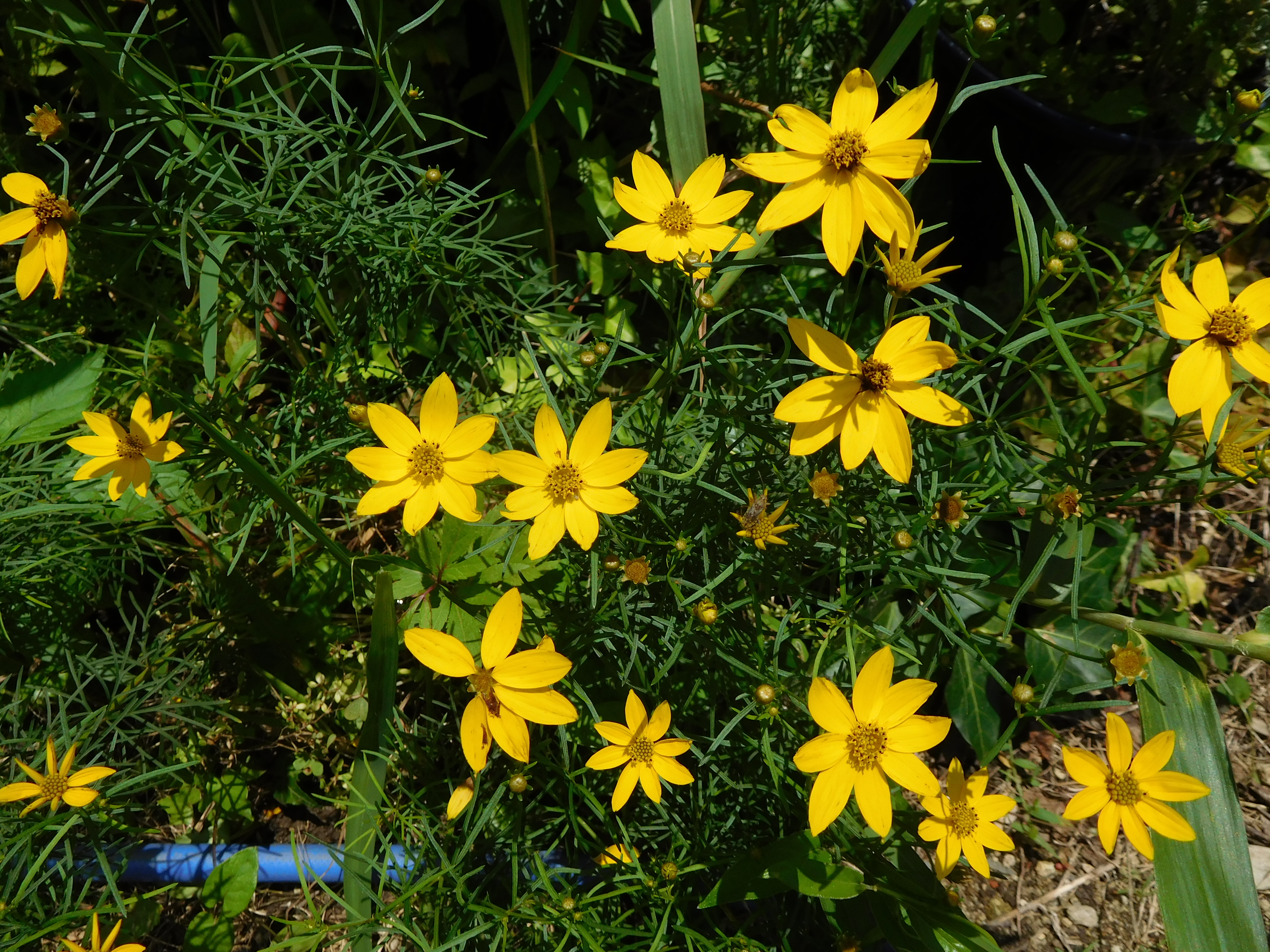 DSCN1297.JPG