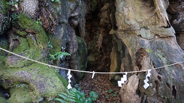 20151127 11062101.jpg