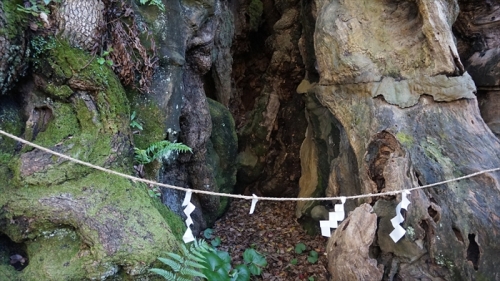 20151127 11062101.jpg