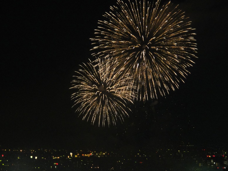 淀川花火大会2015_開ききった2輪.JPG
