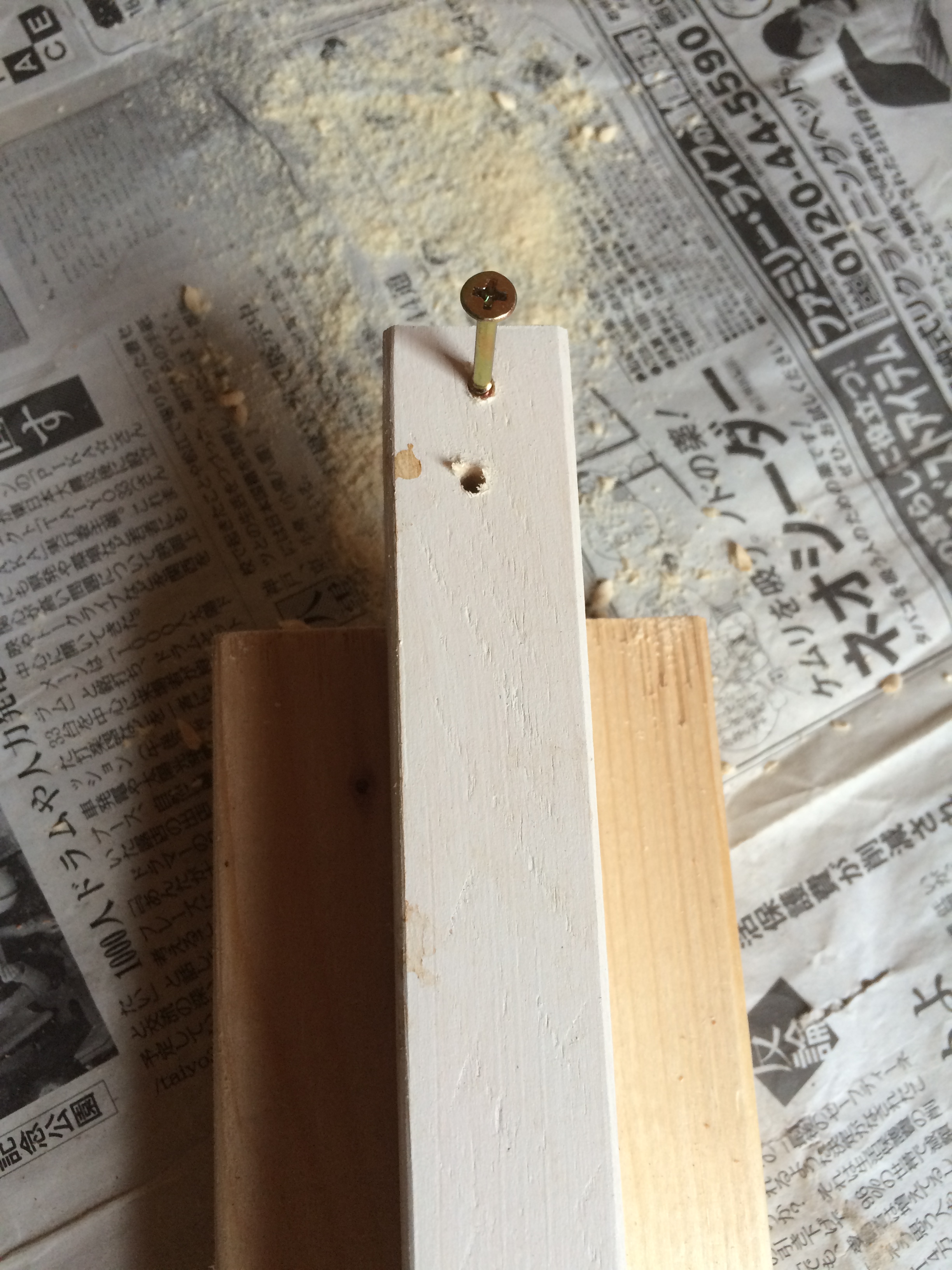 20150628_iphone 013.JPG