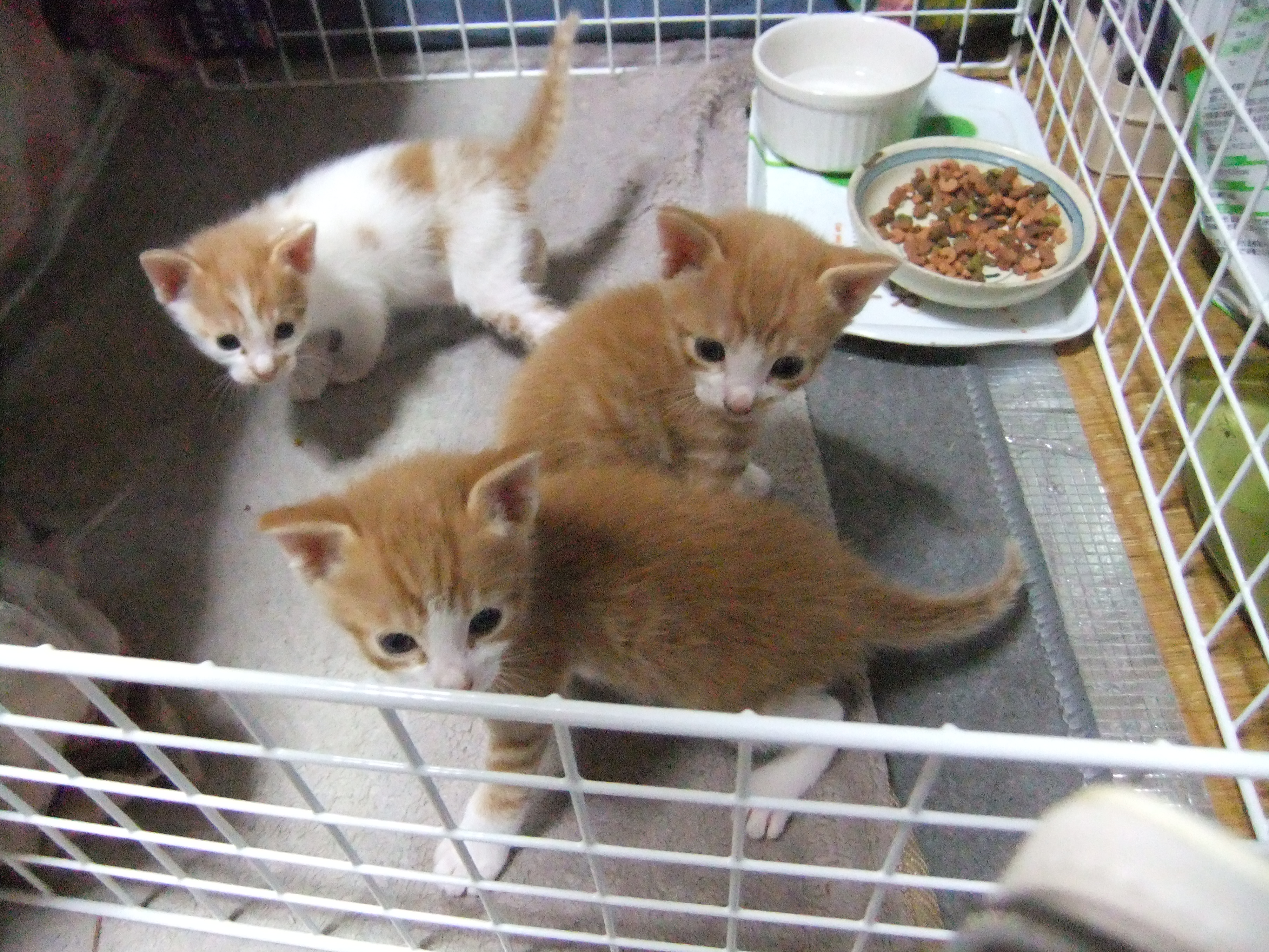 DSCF7037.JPG
