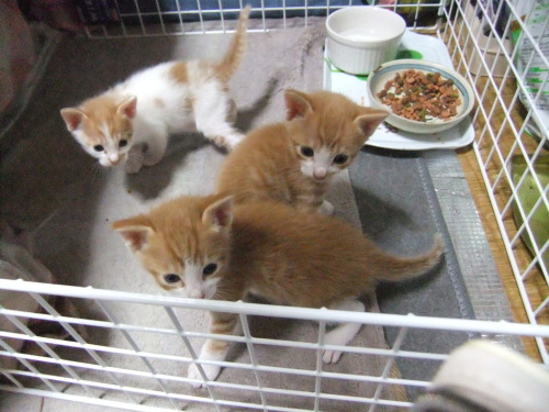 DSCF7037.JPG