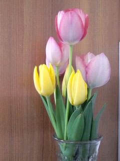 チューリップの花瓶2017