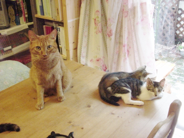 DSC09066.JPG