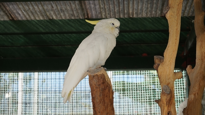 20160127 11114701.JPG