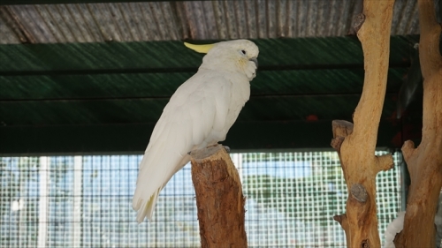 20160127 11114701.JPG