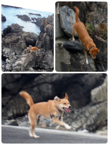 2014-08-17-15-57-06_deco (480x640).jpg